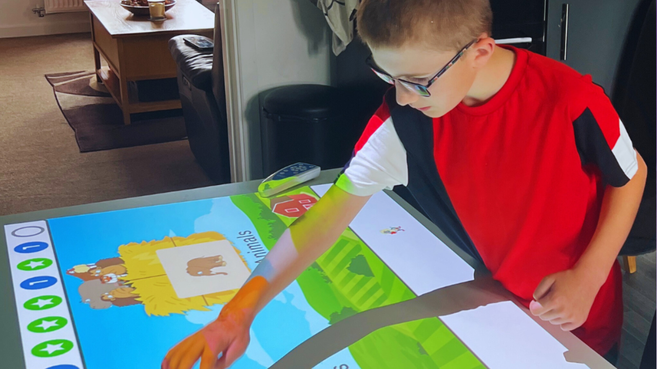 Budii interactive projection